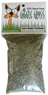 Giggle Grass Catnip 1 oz