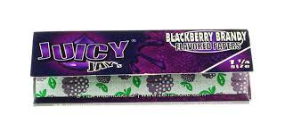 Juicy Jay's Flavored 1 1/4 Rolling Papers 10 Pack Bundle (Fruity)